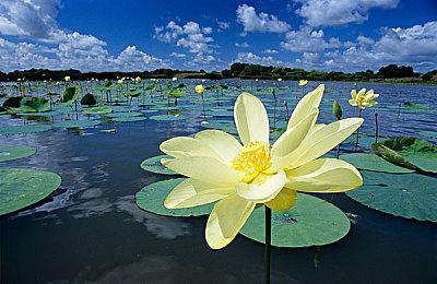 彭博社记者：《孤岛惊魂7》将是系列以来变动最大一作